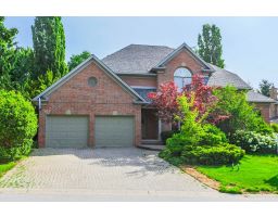 Warbler Woods, London, Ontario